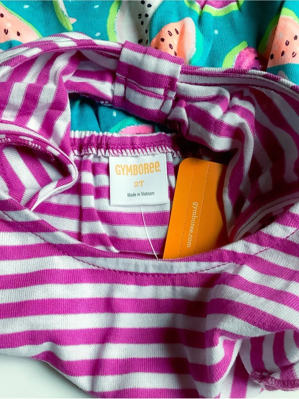 Gymboree Pink Striped Top & Teal Watermelon Print Dress